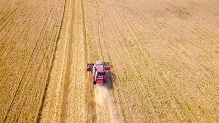 Similar image 21232071