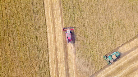 Similar image 21232072