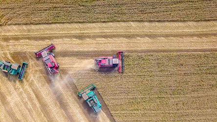 Similar image 21232073