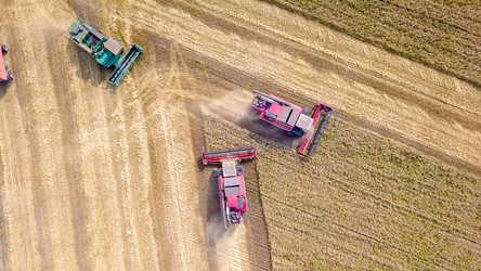 Similar image 21234507