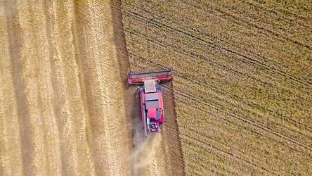 Similar image 21234508