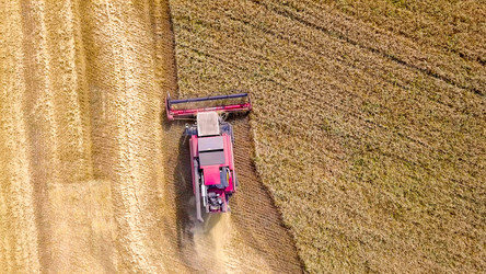 Similar image 21234527