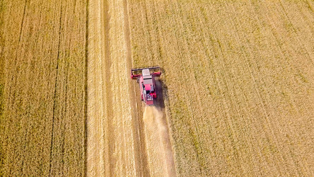 Similar image 21234550