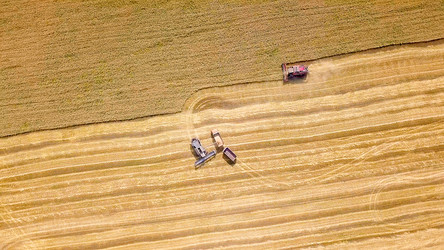 Similar image 21234552