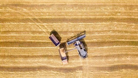 Similar image 21220055