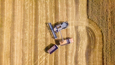 Similar image 21220056