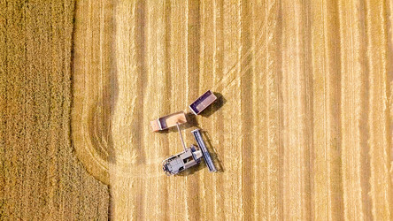 Similar image 21231356