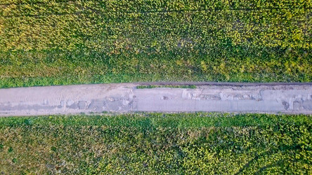 Similar image 21231370