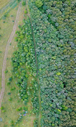 Similar image 21231373