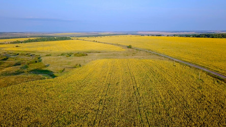 Similar image 21231377