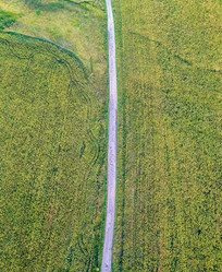 Similar image 21231383