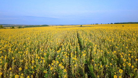 Similar image 21231384