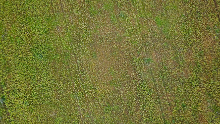 Similar image 21231557