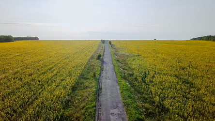 Similar image 21231559