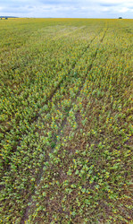 Similar image 21231560