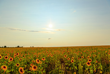 Similar image 21231564