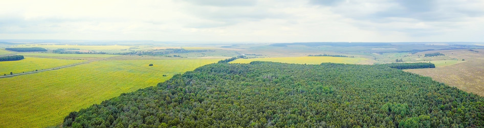 Similar image 21231568