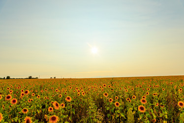 Similar image 21231851