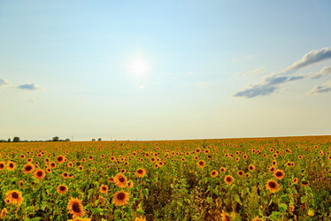 Similar image 21231853