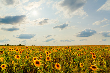 Similar image 21231855