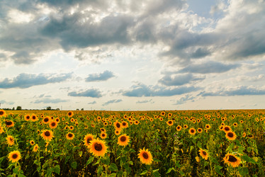 Similar image 21231857