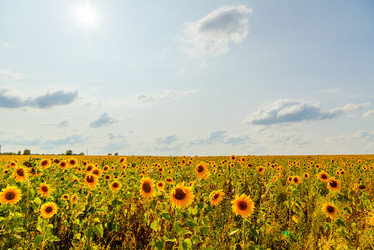 Similar image 21231859