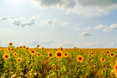 Similar image 21231863