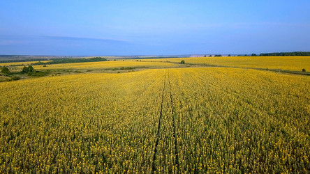 Similar image 21231869