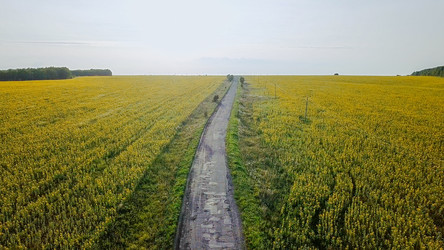 Similar image 21231871