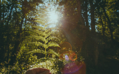 Similar image 21224640