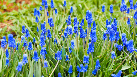 Similar image 21220063