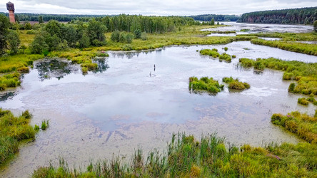 Similar image 21220068