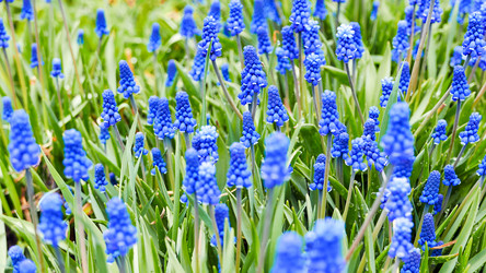 Similar image 21231594