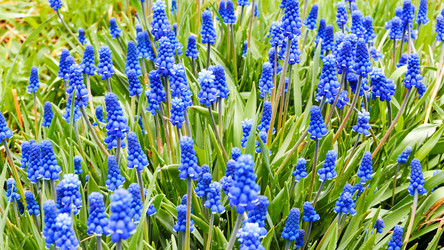 Similar image 21231713