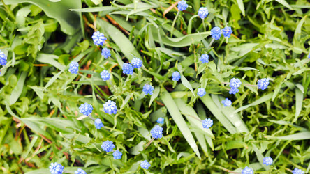 Similar image 21232165