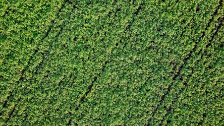 Similar image 21232167