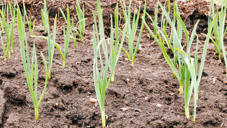 Similar image 21232168