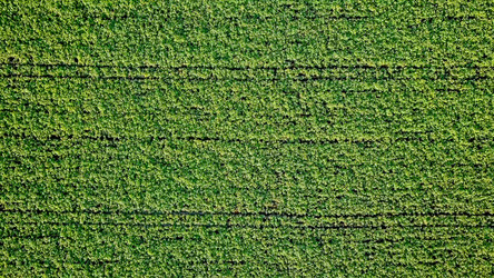 Similar image 21232170