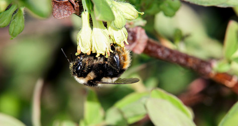 Similar image 21232174