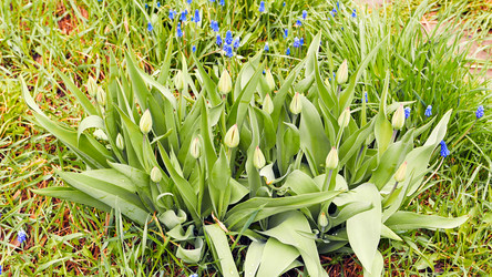 Similar image 21232176