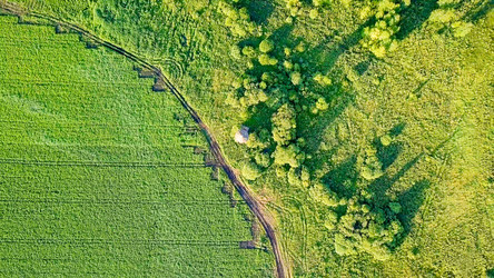 Similar image 21232177