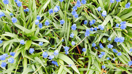 Similar image 21232178