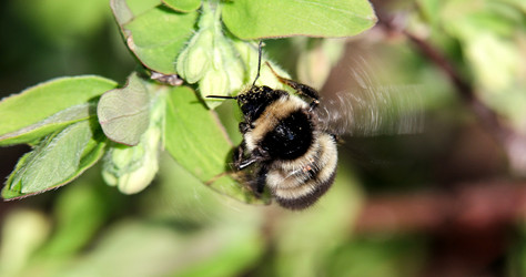 Similar image 21232183