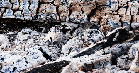 Similar image 21232185