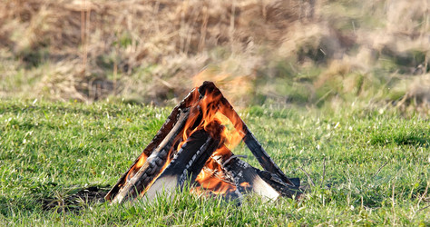 Similar image 21234515