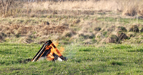 Similar image 21234534