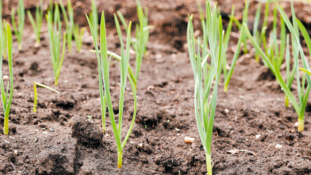 Similar image 21220072