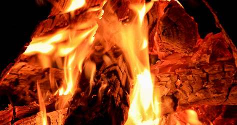 Similar image 21220075