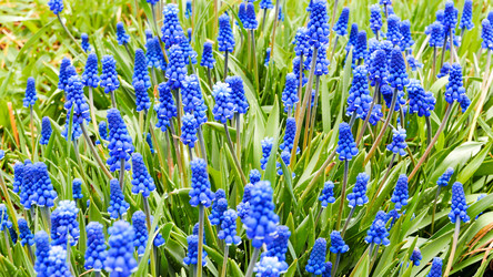 Similar image 21220078