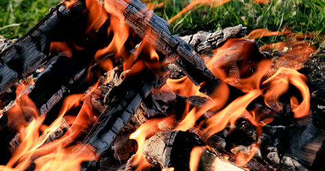 Similar image 21220079